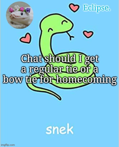 . | Chat should I get a regular tie or a bow tie for homecoming | image tagged in h | made w/ Imgflip meme maker