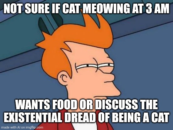 Futurama Fry Meme | NOT SURE IF CAT MEOWING AT 3 AM; WANTS FOOD OR DISCUSS THE EXISTENTIAL DREAD OF BEING A CAT | image tagged in memes,futurama fry | made w/ Imgflip meme maker