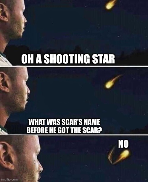 OH A SHOOTING STAR WHAT WAS SCAR'S NAME BEFORE HE GOT THE SCAR? NO | image tagged in shooting star | made w/ Imgflip meme maker