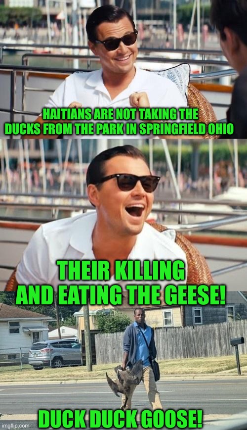 Yrp | HAITIANS ARE NOT TAKING THE DUCKS FROM THE PARK IN SPRINGFIELD OHIO; THEIR KILLING AND EATING THE GEESE! DUCK DUCK GOOSE! | image tagged in memes,leonardo dicaprio wolf of wall street | made w/ Imgflip meme maker