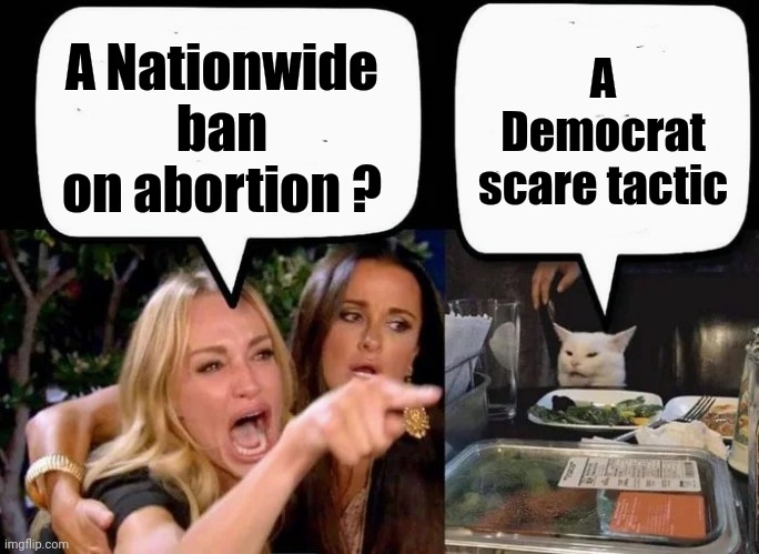 Don't eat the Cat | A Nationwide ban on abortion ? A Democrat scare tactic | image tagged in don't eat the cat | made w/ Imgflip meme maker