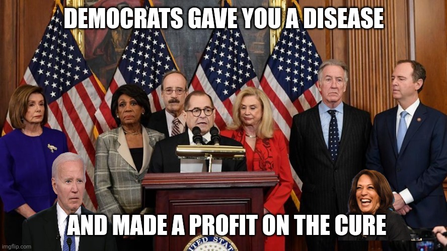 House Democrats | DEMOCRATS GAVE YOU A DISEASE AND MADE A PROFIT ON THE CURE | image tagged in house democrats | made w/ Imgflip meme maker