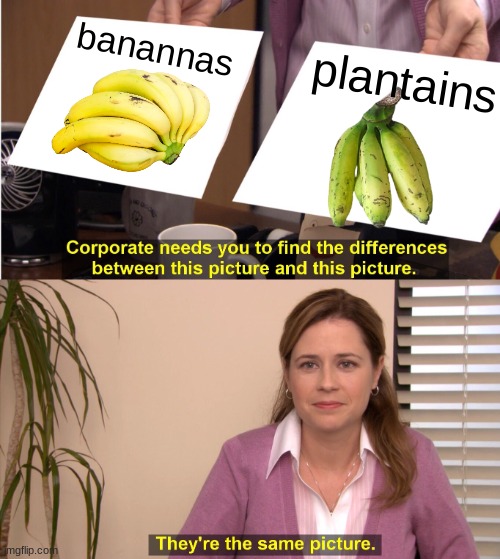 They're The Same Picture | banannas; plantains | image tagged in memes,they're the same picture,banana,funny memes,bananas,same | made w/ Imgflip meme maker