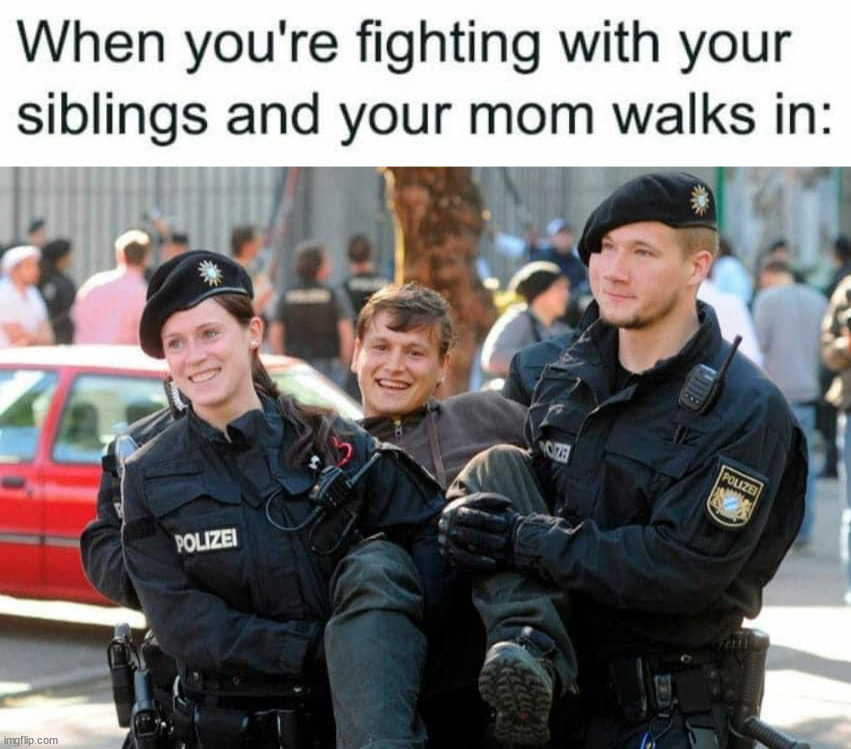 We weren't fighting mom | image tagged in fighting,siblings | made w/ Imgflip meme maker