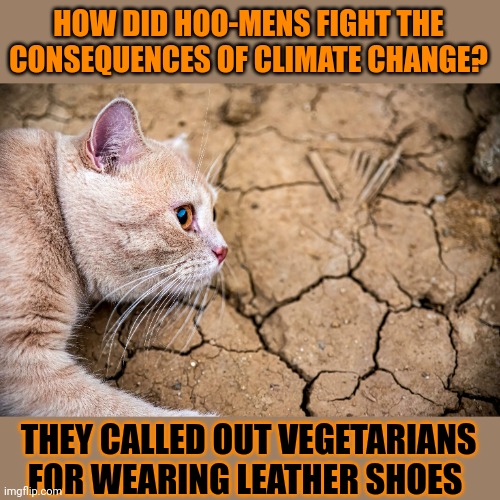 This #lolcat wonders if problems get solved by quoting right wing populists | HOW DID HOO-MENS FIGHT THE CONSEQUENCES OF CLIMATE CHANGE? THEY CALLED OUT VEGETARIANS
FOR WEARING LEATHER SHOES | image tagged in stupid people,lolcat,climate change,populism | made w/ Imgflip meme maker