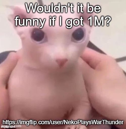 bingus | Wouldn't it be funny if I got 1M? https://imgflip.com/user/NekoPlaysWarThunder | image tagged in bingus | made w/ Imgflip meme maker