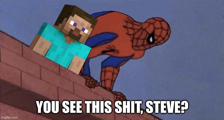 Minecraft Hmmmmm. | YOU SEE THIS SHIT, STEVE? | image tagged in do you see this shit blank | made w/ Imgflip meme maker