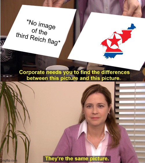 North Korea is a n**i state | *No image of the third Reich flag* | image tagged in memes,they're the same picture | made w/ Imgflip meme maker