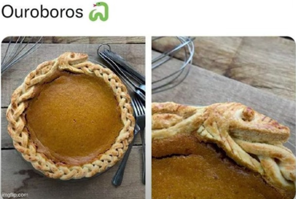 pie | image tagged in pie,snake | made w/ Imgflip meme maker