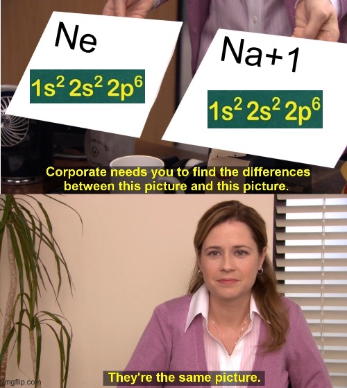 Isoelectric | Ne; Na+1 | image tagged in memes,they're the same picture | made w/ Imgflip meme maker