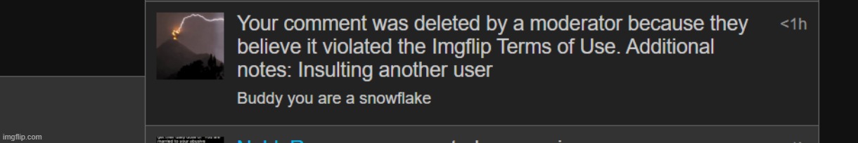 Everyone is a snowflake holy shit bruh | made w/ Imgflip meme maker