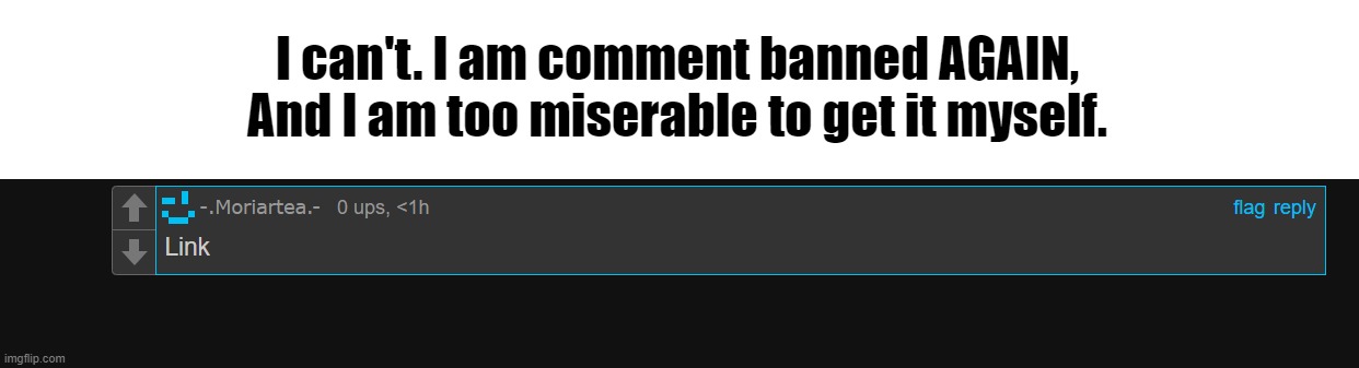 I can't. I am comment banned AGAIN, And I am too miserable to get it myself. | made w/ Imgflip meme maker