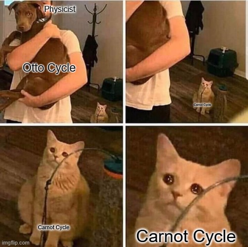 Cat Left Out Crying | Physicist; Otto Cycle; Carnot Cycle; Carnot Cycle; Carnot Cycle; Carnot Cycle | image tagged in cat left out crying | made w/ Imgflip meme maker