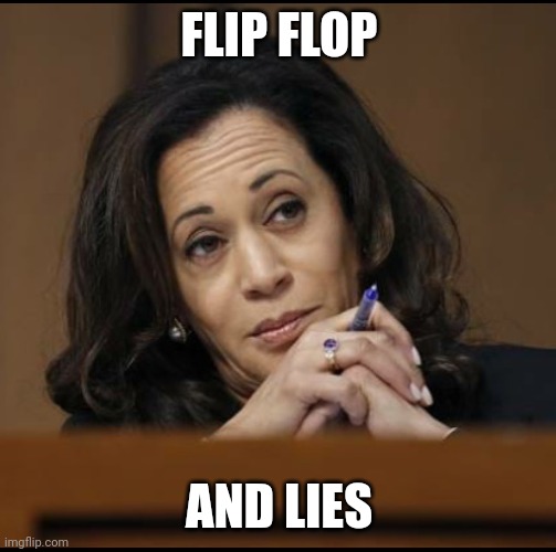 Kamala Harris  | FLIP FLOP AND LIES | image tagged in kamala harris | made w/ Imgflip meme maker