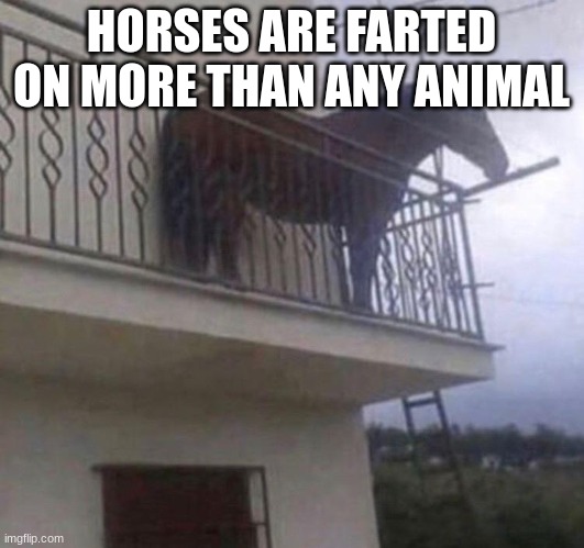 Horses are farted on | HORSES ARE FARTED ON MORE THAN ANY ANIMAL | image tagged in juan,farts,meme,funny,horse | made w/ Imgflip meme maker