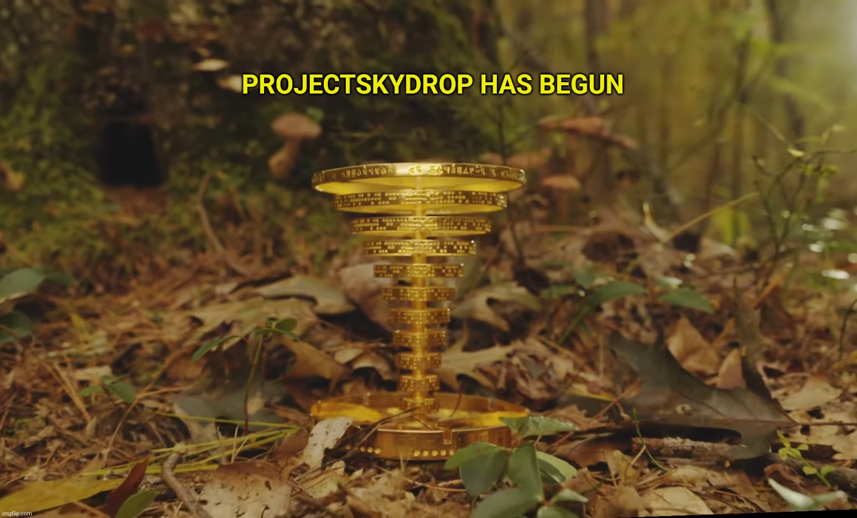 projectskydrop.com | PROJECTSKYDROP HAS BEGUN | image tagged in projectskydrop | made w/ Imgflip meme maker