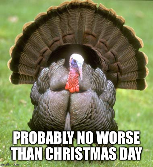 Turkey Meme | PROBABLY NO WORSE THAN CHRISTMAS DAY | image tagged in memes,turkey | made w/ Imgflip meme maker