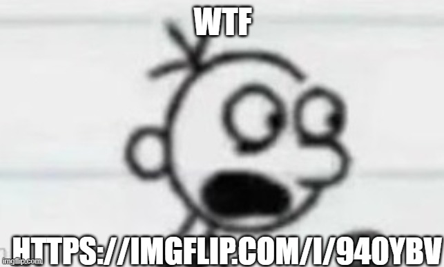ㅤ | WTF; HTTPS://IMGFLIP.COM/I/940YBV | made w/ Imgflip meme maker