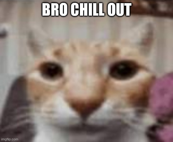 BRO CHILL OUT | made w/ Imgflip meme maker