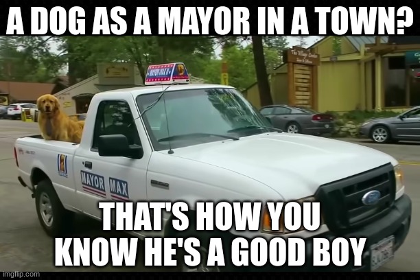 Mayor Max is such a good boy | A DOG AS A MAYOR IN A TOWN? THAT'S HOW YOU KNOW HE'S A GOOD BOY | image tagged in youtube,dogs,good boy,mayor | made w/ Imgflip meme maker