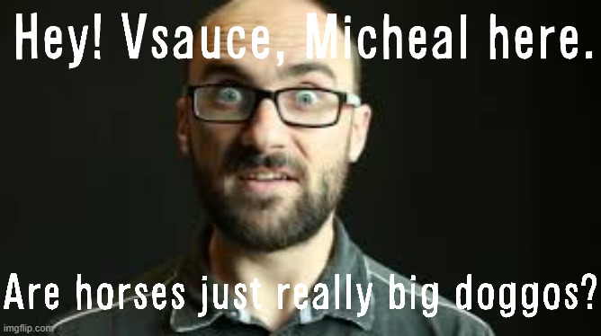 Hey VSauce Michael Here | image tagged in hey vsauce michael here | made w/ Imgflip meme maker