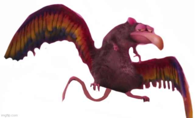 Rat Bird | image tagged in rat bird | made w/ Imgflip meme maker