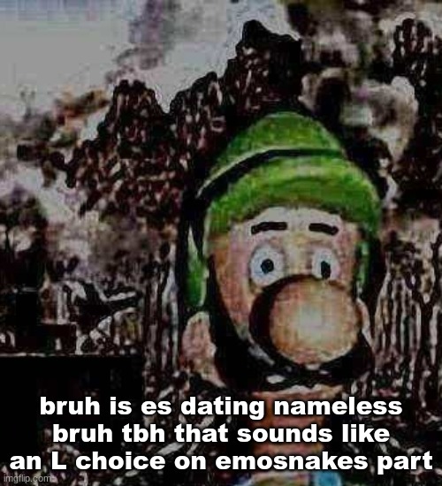 luigi yard stare | bruh is es dating nameless bruh tbh that sounds like an L choice on emosnakes part | image tagged in luigi yard stare | made w/ Imgflip meme maker