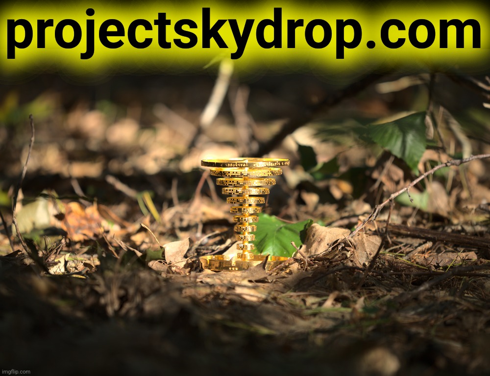 projectskydrop.com | made w/ Imgflip meme maker