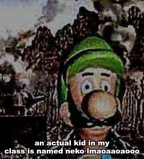 I mean his actual name | an actual kid in my class is named neko lmaoaaoaooo | image tagged in luigi yard stare | made w/ Imgflip meme maker