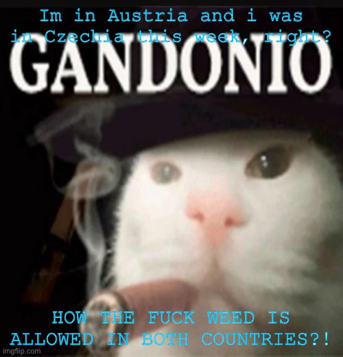 Gandonio | Im in Austria and i was in Czechia this week, right? HOW THE FUCK WEED IS ALLOWED IN BOTH COUNTRIES?! | image tagged in gandonio | made w/ Imgflip meme maker