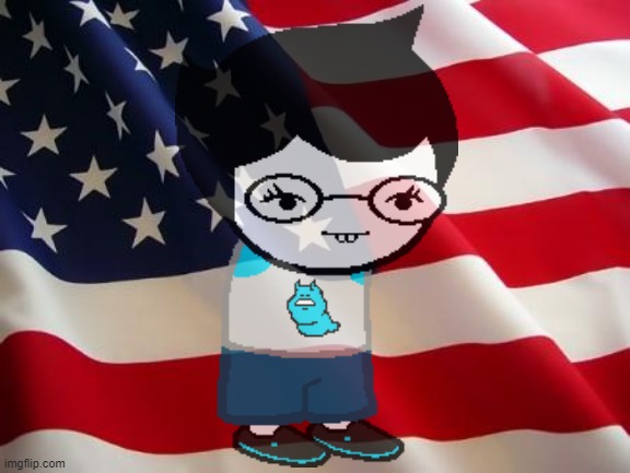 American flag | image tagged in american flag | made w/ Imgflip meme maker