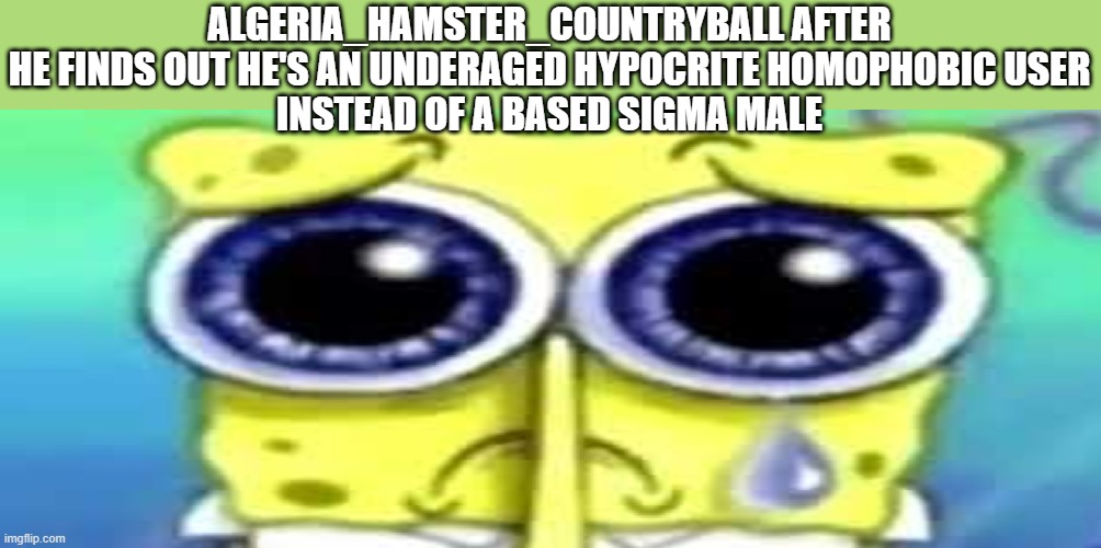 Sad Spong | ALGERIA_HAMSTER_COUNTRYBALL AFTER HE FINDS OUT HE'S AN UNDERAGED HYPOCRITE HOMOPHOBIC USER
INSTEAD OF A BASED SIGMA MALE | image tagged in sad spong | made w/ Imgflip meme maker