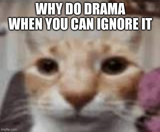 WHY DO DRAMA WHEN YOU CAN IGNORE IT | image tagged in yuh | made w/ Imgflip meme maker