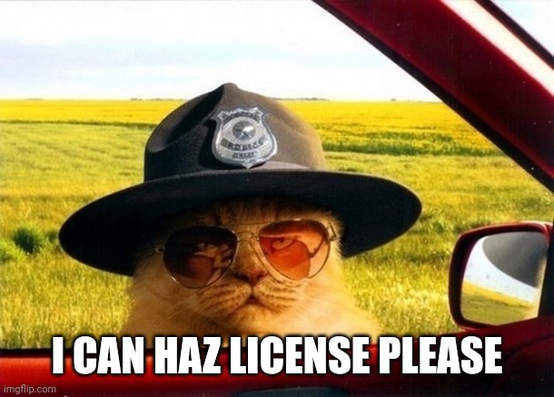 Hand over the license | I CAN HAZ LICENSE PLEASE | image tagged in hand over the license | made w/ Imgflip meme maker