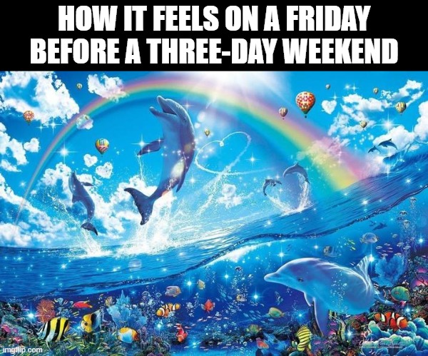 One of the best feelings | HOW IT FEELS ON A FRIDAY BEFORE A THREE-DAY WEEKEND | image tagged in happy dolphin rainbow,memes,fun | made w/ Imgflip meme maker