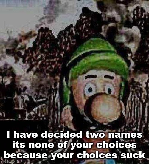luigi yard stare | I have decided two names
its none of your choices because your choices suck | image tagged in luigi yard stare | made w/ Imgflip meme maker