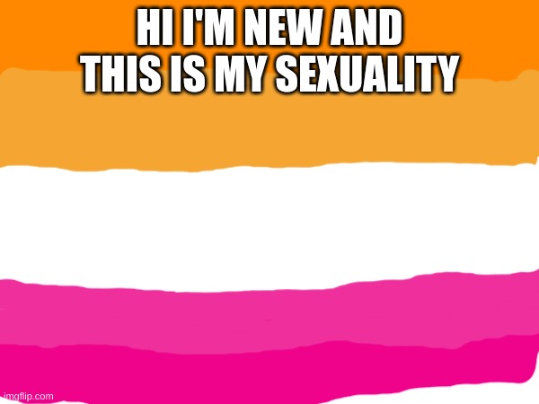 HI I'M NEW AND THIS IS MY SEXUALITY | made w/ Imgflip meme maker