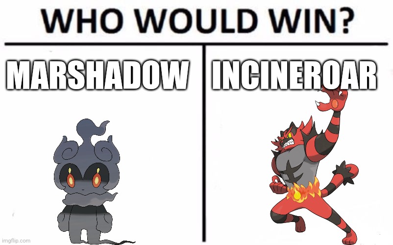 Who Would Win? Meme | MARSHADOW; INCINEROAR | image tagged in memes,who would win | made w/ Imgflip meme maker