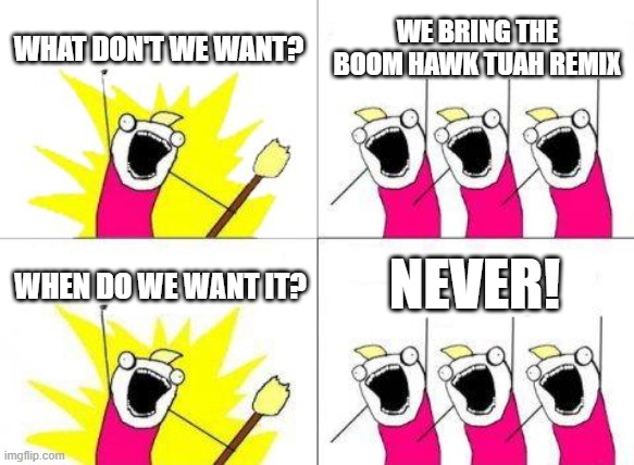 I had this idea randomly...please no | WHAT DON'T WE WANT? WE BRING THE BOOM HAWK TUAH REMIX; NEVER! WHEN DO WE WANT IT? | image tagged in memes,what do we want,meme,cringe | made w/ Imgflip meme maker