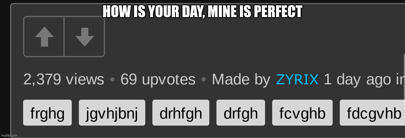 rtjjdfnhxgvjohbscgrdfjhvbfhjrfcdjlsbgjvjhbsrhdf | HOW IS YOUR DAY, MINE IS PERFECT | image tagged in j,nbvcnbxvc,cjjk,hgf,d,ybj | made w/ Imgflip meme maker