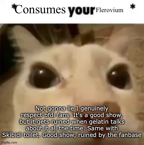 Yakko consumes your flerovium | Not gonna lie I genuinely respect bfdi fans. It's a good show, but it gets ruined when gelatin talks about it all the time. Same with Skibidi toilet. Good show, ruined by the fanbase | image tagged in yakko consumes your flerovium | made w/ Imgflip meme maker