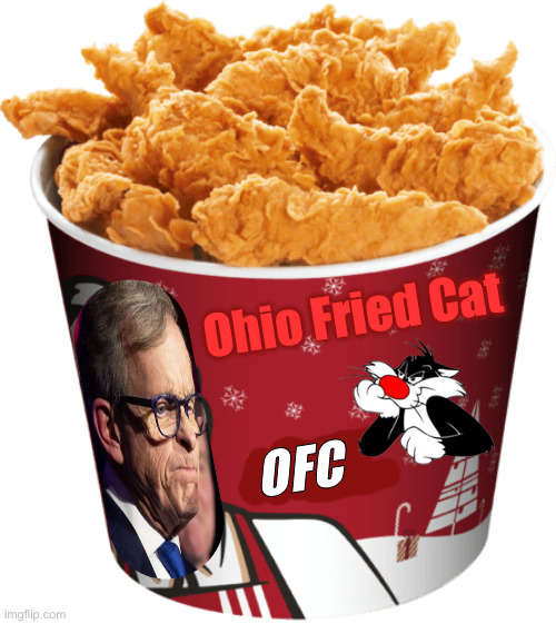 Owns It ! | Ohio Fried Cat; OFC | image tagged in kfc kentucky fried chicken,political meme,politics,funny memes,funny | made w/ Imgflip meme maker