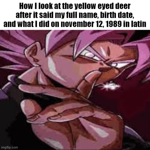 . | How I look at the yellow eyed deer after it said my full name, birth date, and what I did on november 12, 1989 in latin | made w/ Imgflip meme maker