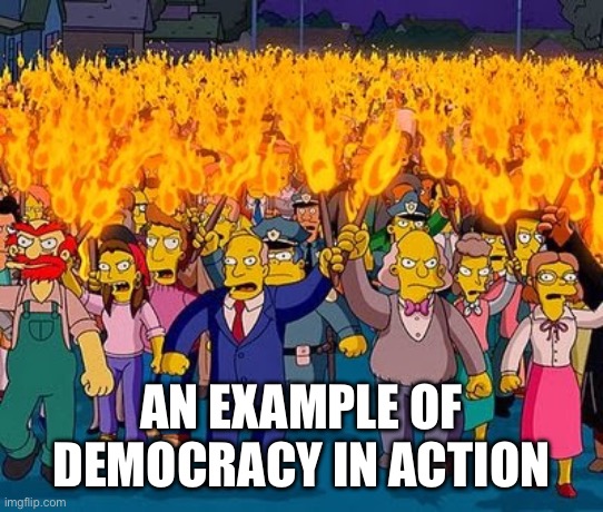 Democracy in action | AN EXAMPLE OF DEMOCRACY IN ACTION | image tagged in lynch mob | made w/ Imgflip meme maker