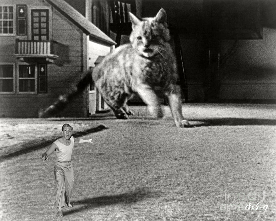 High Quality Incredible Shrinking Man Blank Meme Template