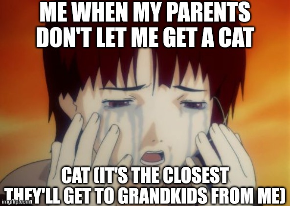 I could be a good cat parent guys :c | ME WHEN MY PARENTS DON'T LET ME GET A CAT; CAT (IT'S THE CLOSEST THEY'LL GET TO GRANDKIDS FROM ME) | image tagged in lain crying | made w/ Imgflip meme maker