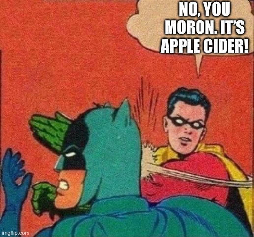 Robin Slaps Batman | NO, YOU MORON. IT’S APPLE CIDER! | image tagged in robin slaps batman | made w/ Imgflip meme maker