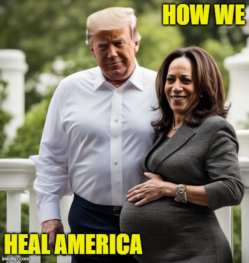 How we heal | HOW WE; HEAL AMERICA | image tagged in trump,maga,make america great again,vice president,kamala harris,donald trump | made w/ Imgflip meme maker