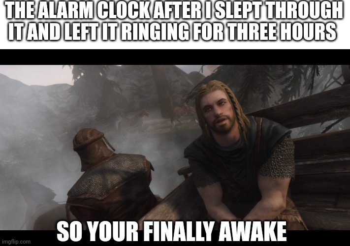 Skyrim you're finally awake | THE ALARM CLOCK AFTER I SLEPT THROUGH IT AND LEFT IT RINGING FOR THREE HOURS; SO YOUR FINALLY AWAKE | image tagged in skyrim you're finally awake | made w/ Imgflip meme maker