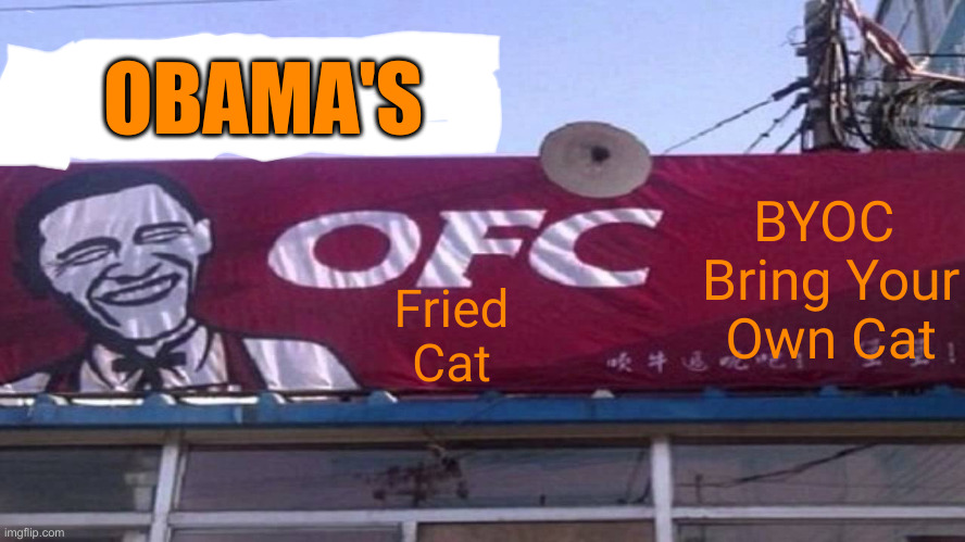 Nacho Mamas, Obama's ! | OBAMA'S; BYOC 
Bring Your Own Cat; Fried
Cat | image tagged in obama fried chicken,political meme,politics,funny memes,funny | made w/ Imgflip meme maker